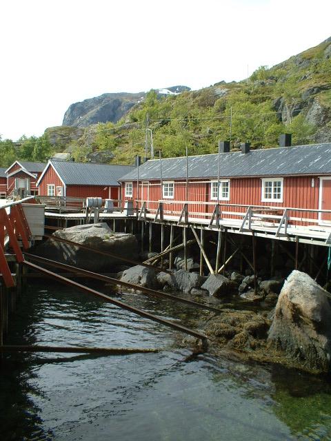 Scandinavia Travel: lofoten-cod-processing-workshop.jpg