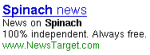 adsense-spam-3.png