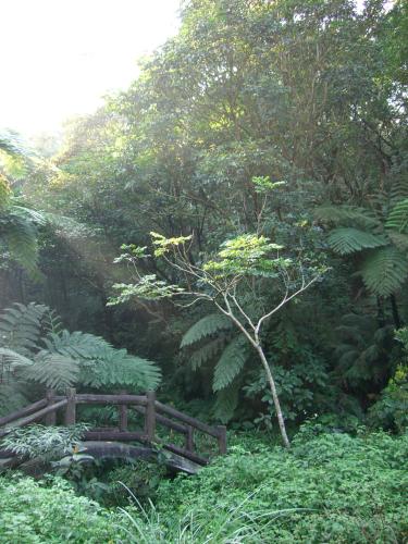 Taiwan: Nature View