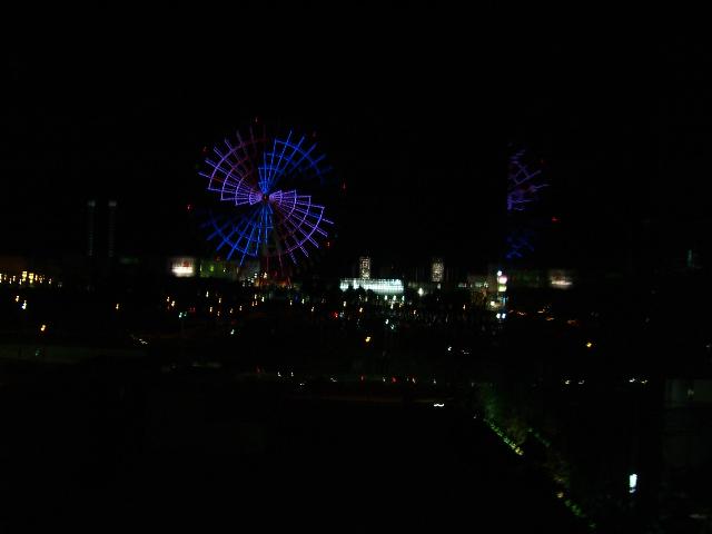 Tokyo: Odaiba Wheel By Night