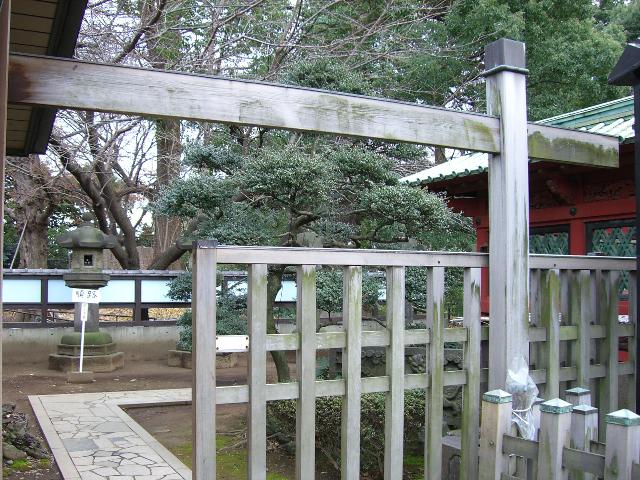 Tokyo: Toshogu Shrine Garden